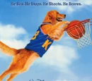 1997 films