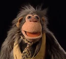 Sal Minella