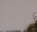 John C. Reilly