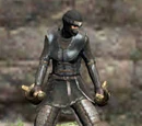 Twilight Armor Set