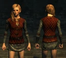 Crimson Jerkin