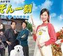 Maison Ikkoku