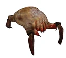 Headcrab (3.5e Monster)