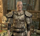 Skjor