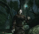 Zealot