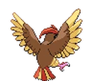 Pidgeotto