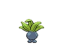 Oddish