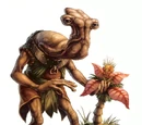 Ithoriano