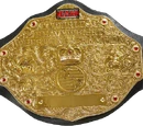 Extreme Answers Wrestling World Heavyweight Championship