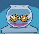 Wanda/Images/A Wish Too Far!