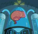 Big Brain