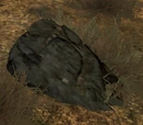 Node: Coal Deposit