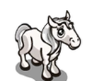 Silver Foal