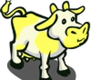 Yellow Patch Cow