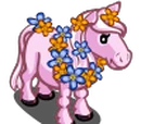 Aloha Pony