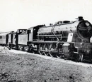 MZA Serie 1701 a 1795