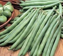 French bean