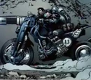 COG Bike 13