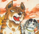 Akatora