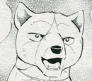Yuki