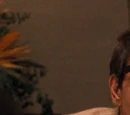 Moe Greene