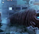 TokyoMosuLarva