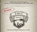Examen de Magie Élémentaire Unifié