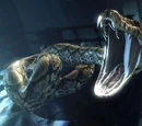 Nagini's venom