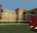 Quidditch Training Pitch
