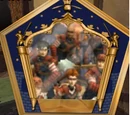American National Quidditch team