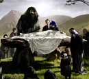 Funeral of Albus Dumbledore