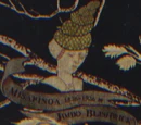Misapinoa Black