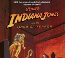 Young adult novels