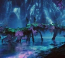 Bioluminescence