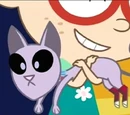 Mr. Kitten