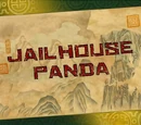 Jailhouse Panda/Transcript