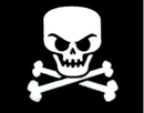Pirates skull 2009.png