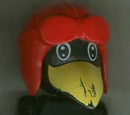 Joe Crow