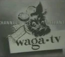 WAGA-TV
