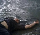 Images of Ethan Rom