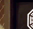 Hydra Orientation film