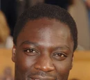 Adewale Akinnuoye-Agbaje