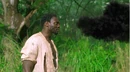 2x10 Eko Monster.png
