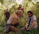 Sawyer's group
