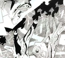 Taduki