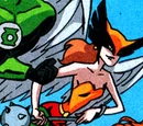 Hawkgirl (Earth-Teen Titans)