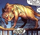 Streaky (New Earth)