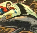 Porpy the Porpoise (New Earth)