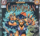 Catwoman Annual Vol 2 1