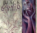 Black Orchid Vol 1 1